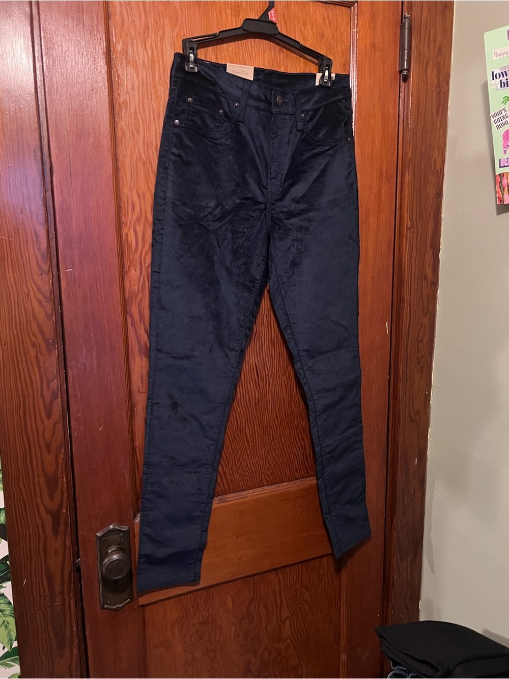 NWT 721 High Rise Skinny 29x30 Blue Pants